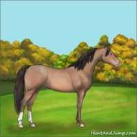 Horse Color:Sable Champagne 