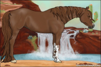 Horse Color:Gray Chestnut 