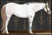 Horse Color:Chestnut Rabicano 