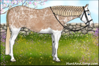 Horse Color:Chestnut Ice Splash 