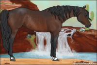 Horse Color:Brown Rabicano 