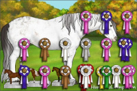 Horse Color:Buckskin Sabino Varnish 