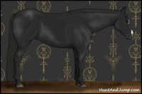 Horse Color:Gray Black 