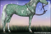 Horse Color:Watercolor White Spotted Silver Black Chinchilla Ice