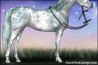 Horse Color:Watercolor White Spotted Chocolate Palomino Splash Rabicano 