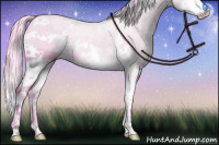 Horse Color:Watercolor White Spotted Chocolate Palomino Dun Splash Rabicano 