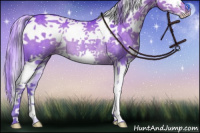 Horse Color:Watercolor White Spotted Chocolate Palomino Splash Rabicano 