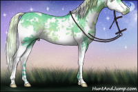 Horse Color:Watercolor White Spotted Chocolate Palomino Splash Rabicano