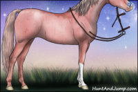 Horse Color:Chocolate Palomino Pearl Dun Brindle 