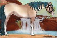 Horse Color:Painted Amber Champagne Roan Onyx 