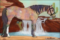 Horse Color:Nacre Bay