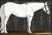 Horse Color:Silver Bay Onyx Splash Appaloosa 