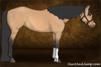 Horse Color:Bay Dun