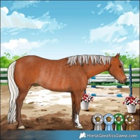 Horse Color:Silver Bay Rabicano