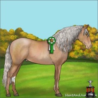 Horse Color:Silver Bay Pearl