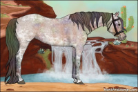 Horse Color:Nacre Bay Ice Roan 