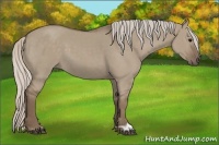 Horse Color:Silver Grullo 