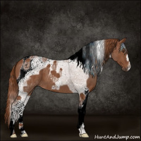 Horse Color:Chestnut Tobiano 