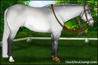 Horse Color:Silver Bay Chinchilla Roan 