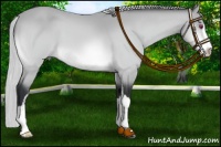 Horse Color:Silver Brown Chinchilla Sabino