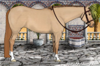 Horse Color:Red Dun