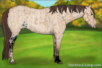 Horse Color:Bay Roan Dun  and Amber Champagne Roan Dun Sabino 