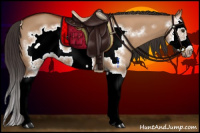 Horse Color:Bay Dun Sabino Splash Frame 