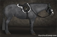 Horse Color:Platinum Black Appaloosa 