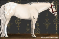 Horse Color:Gold Cream Champagne Pearl Varnish Rabicano 