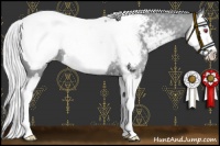 Horse Color:Silver Grullo Chinchilla Sabino Splash Snowcap Rabicano 