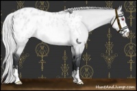 Horse Color:Silver Bay Chinchilla Dun Sabino Appaloosa Rabicano 