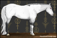 Horse Color:Silver Brown Chinchilla Dun Snowcap 