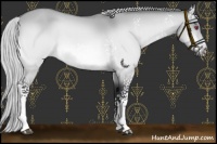 Horse Color:White Spotted Silver Brown Chinchilla Dun Rabicano 