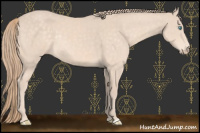 Horse Color:Chocolate Perlino Rabicano