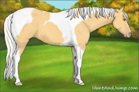 Horse Color:Silver Classic Cream Champagne Tobiano
