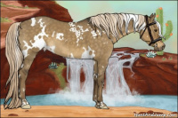 Horse Color:White Spotted Chocolate Palomino Dun