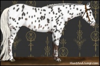 Horse Color:Liver Chestnut Mushroom Near Leopard 