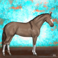 Horse Color:White Spotted Liver Red Dun Rabicano 