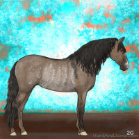 Horse Color:Liver Red Dun Rabicano 