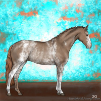 Horse Color:White Spotted Liver Red Dun Rabicano 