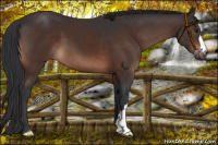 Horse Color:Brown Mushroom 