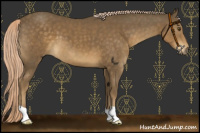 Horse Color:Chocolate Palomino Mushroom 