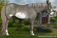 Horse Color:Chocolate Palomino Mushroom Frame Rabicano