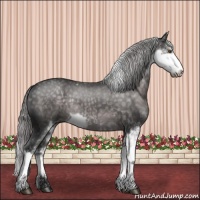 Horse Color:Platinum Chocolate Palomino Sabino