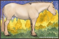 Horse Color:Red Dun Pearl 