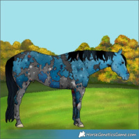 Horse Color:ERROR: UNKNOWN ANOMALY