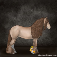 Horse Color:Brown Pearl 