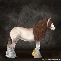 Horse Color:Brown Ice Pearl Onyx Splash