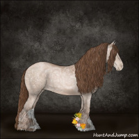 Horse Color:Brown Ice Pearl