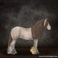 Horse Color:Black Ice Pearl 